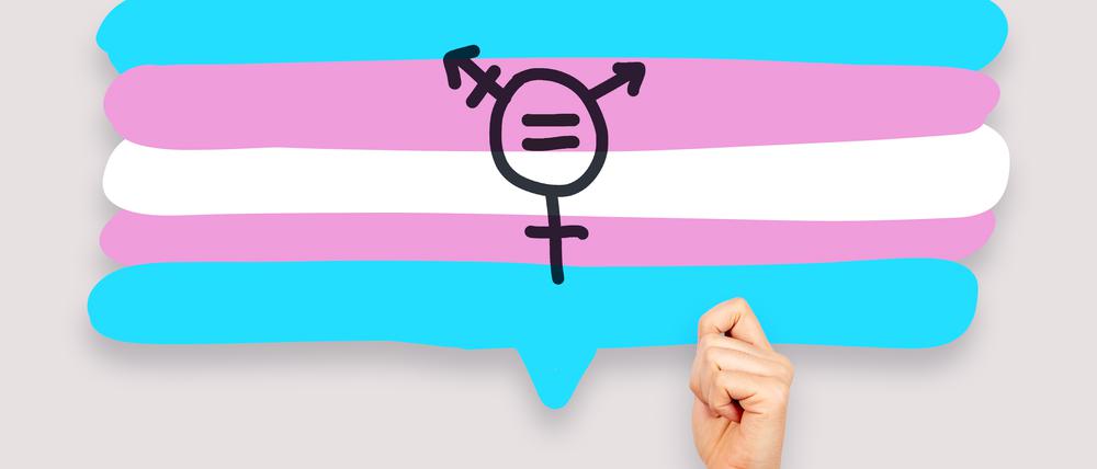 Die Transgender Flagge (Symbolbild).