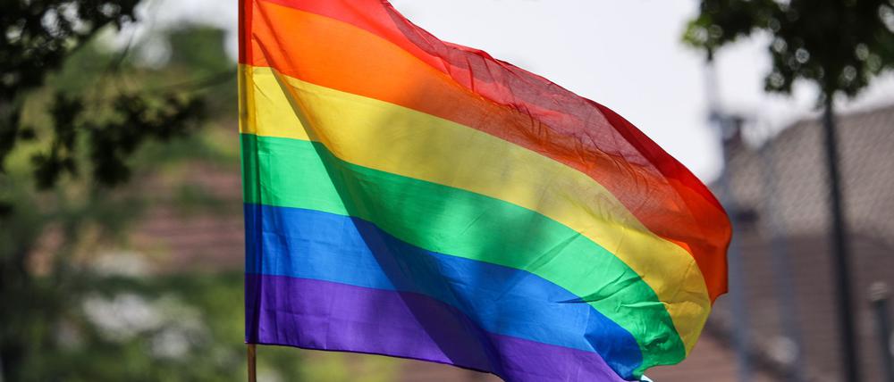 Wie unruhig wird der CSD am Sonntag in Cottbus? Es gibt Aufrufe zum Protest. (Symbolbild)