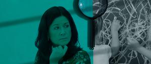 Schulinspektion neu aufstellen