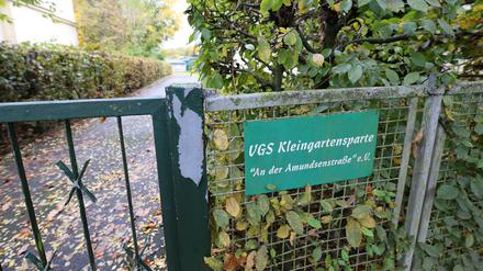 Die Kleingartenanlage Amundsenstraße ist bedroht.