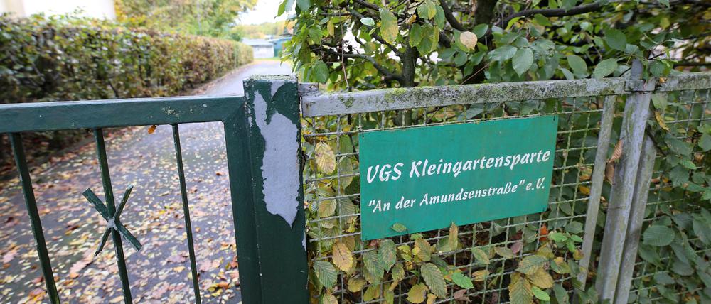 Die Kleingartenanlage Amundsenstraße ist bedroht. 