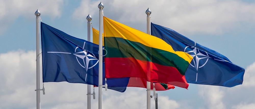 Wetterballons haben den Flugverkehr über dem Flughafen von Litauens Hauptstadt Vilnius gestört. (Symbolbild)