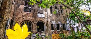 Schwer beschädigt und strategisch wichtig: Das Kinderkrankenhaus Weißensee steht seit den 1990er Jahren leer. Mehrfach hat sich das Bezirksamt Pankow mit einer Schulplanung verhoben. Jetzt gibt man die Verantwortung ab.