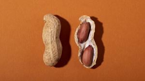 Seit 2021 geht in den USA der Rat an Eltern sogar dahin, Kinder im Alter von vier bis sechs Monaten mit allen wichtigen Lebensmittel-Allergenen vertraut zu machen.