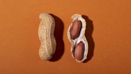 Seit 2021 geht in den USA der Rat an Eltern sogar dahin, Kinder im Alter von vier bis sechs Monaten mit allen wichtigen Lebensmittel-Allergenen vertraut zu machen.