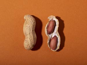 Seit 2021 geht in den USA der Rat an Eltern sogar dahin, Kinder im Alter von vier bis sechs Monaten mit allen wichtigen Lebensmittel-Allergenen vertraut zu machen.