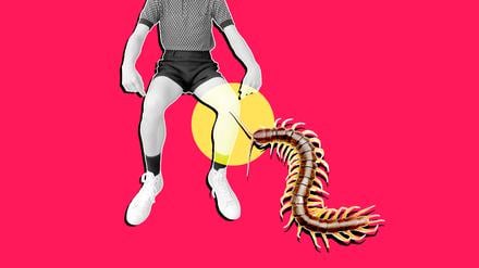 Ein Hundertfüßer am Knie eines Menschen (Illustration).