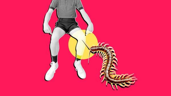 Ein Hundertfüßer am Knie eines Menschen (Illustration).