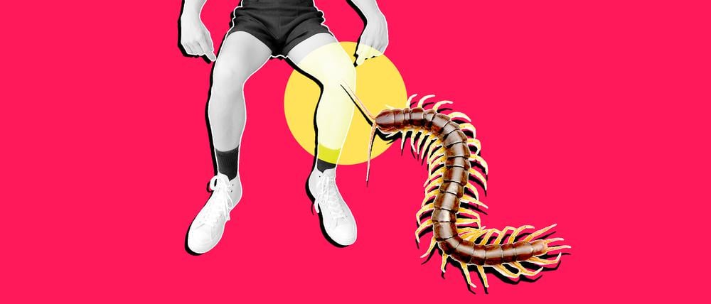 Ein Hundertfüßer am Knie eines Menschen (Illustration).