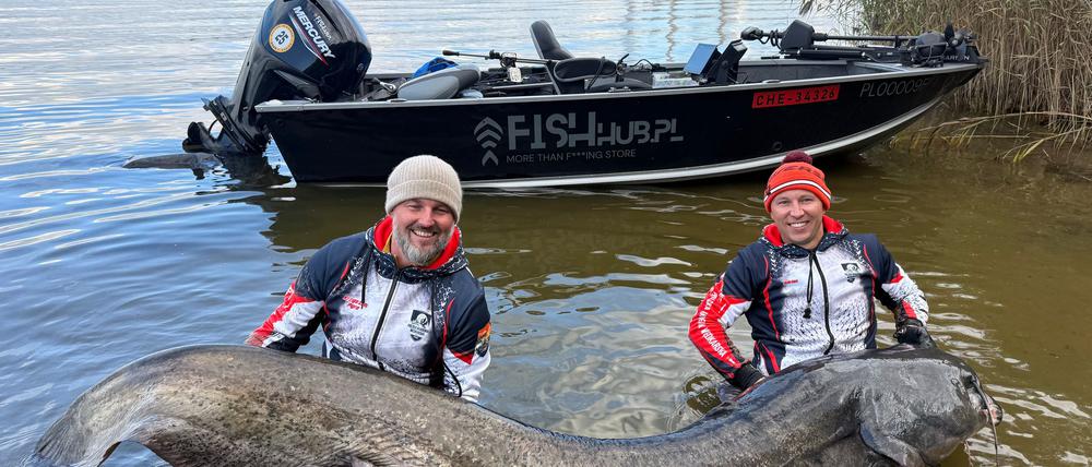 Zwei Angler in Polen haben einen fast drei Meter langen Wels gefangen. (Foto Handout)