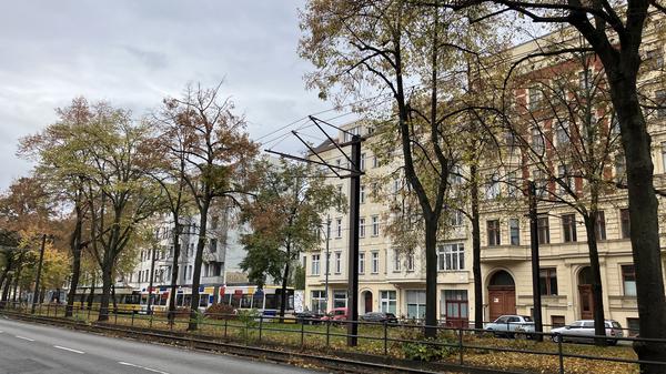 Greifswalder Straße