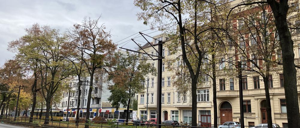 Greifswalder Straße