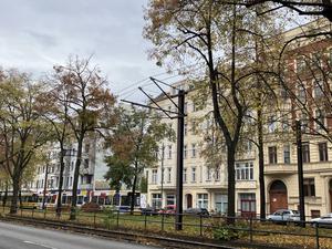 Greifswalder Straße