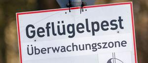 In Baden-Württemberg sind erste Fälle der Vogelgrippe nachgewiesen worden. (Symbolbild)