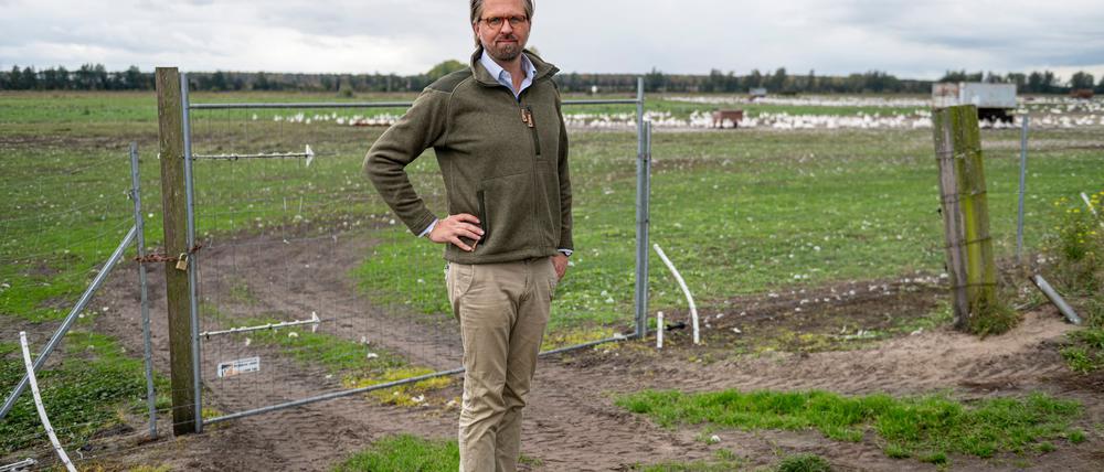 Der Betriebsleiter des Spargelhofs Kremmen, Malte Voigts, muss den Verlust seiner Gänse und Enten wegen der Vogelgrippe verkraften.