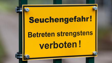 Die Vogelgrippe stürzt viele Reginoen in die Krise. Im Linumer Teichland müssen Helfer wegen der Tierseuche massenhaft tote Kraniche beseitigen. 
