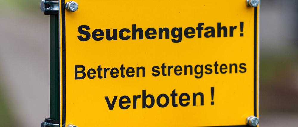 Die Vogelgrippe stürzt viele Reginoen in die Krise. Im Linumer Teichland müssen Helfer wegen der Tierseuche massenhaft tote Kraniche beseitigen.