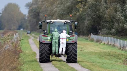 In einem Seuchen-Sperrgebiet in der Nähe von Linum (Fehrbellin) stehen zwei Helfer in Schutzanzügen auf einem Traktor. Die auch als Vogelgrippe bezeichnete Geflügelpest hat sich mittlerweile fast über ganz Deutschland ausgebreitet.