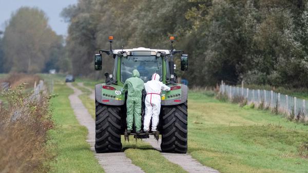 In einem Seuchen-Sperrgebiet in der Nähe von Linum (Fehrbellin) stehen zwei Helfer in Schutzanzügen auf einem Traktor. Die auch als Vogelgrippe bezeichnete Geflügelpest hat sich mittlerweile fast über ganz Deutschland ausgebreitet. 