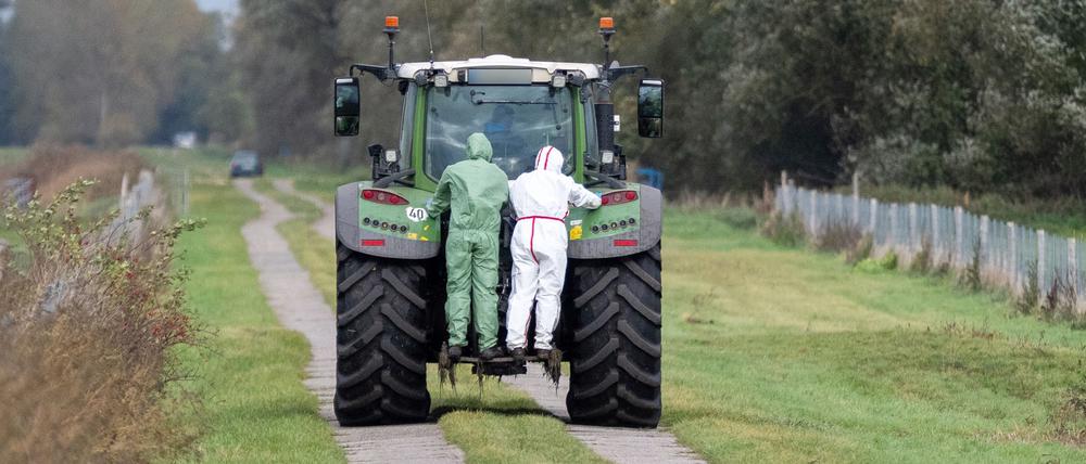 In einem Seuchen-Sperrgebiet in der Nähe von Linum (Fehrbellin) stehen zwei Helfer in Schutzanzügen auf einem Traktor. Die auch als Vogelgrippe bezeichnete Geflügelpest hat sich mittlerweile fast über ganz Deutschland ausgebreitet.