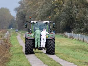 In einem Seuchen-Sperrgebiet in der Nähe von Linum (Fehrbellin) stehen zwei Helfer in Schutzanzügen auf einem Traktor. Die auch als Vogelgrippe bezeichnete Geflügelpest hat sich mittlerweile fast über ganz Deutschland ausgebreitet. 