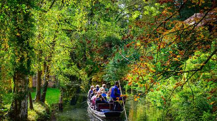 Auch ein Ausflug in die Natur kann glücklich machen. (Symbolbild)