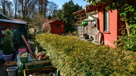 Die CDU-Fraktion fordert steuerliche Entlastungen für Kleingärten. (Symbolbild)