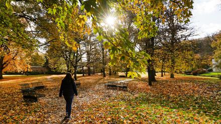 Eine Spaziergängerin geht im Herbstlaub durch einen Park in Zwiefalten in Baden-Württemberg (Symbolbild).