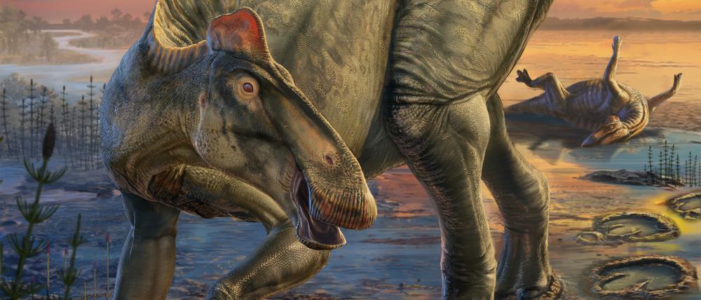 HANDOUT - Scene painting some 66 million years ago showing the duck-billed dinosaur as it appeared in life based on mummies discovered in east-central Wyoming which document its scaly skin and hooves. It had a fleshy crest over neck and trunk, a fleshy spike row over hips and tail and hooves capping the toes of the hind feet. (artwork by Dani Navarro) Credit: Artwork by Dani Navarro
ACHTUNG: Frei nur zur redaktionellen Verwendung im Zusammenhang mit der Berichterstattung über die Studie bei Nennung des Credits. Foto: Artwork by Dani Navarro