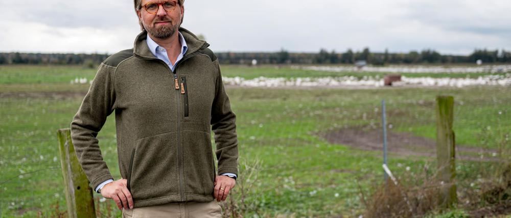 22.10.2025, Brandenburg, Kremmen: Malte Voigts, Betriebsleiter Spargelhof Kremmen, steht vor dem Gehege seiner Gänse. In Geflügelbetrieben aber auch bei Kranichen ist die Infektionskrankheit Geflügelpest nachgewiesen worden. Foto: Fabian Sommer/dpa +++ dpa-Bildfunk +++