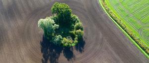 Ein frisch bestellter Acker im östlichen Brandenburg (Luftaufnahme mit einer Drohne).