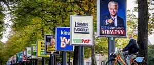 Die Auswahl ist groß, der vermutliche Wahlsieger wird nicht mitregieren.
