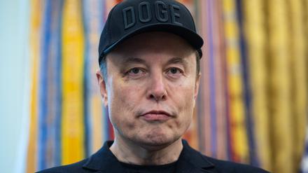 Elon Musk, Tech-Milliardär
