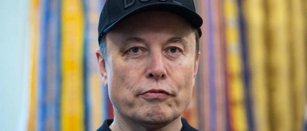 Elon Musk, Tech-Milliardär 