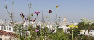 Begrünte Dächer in Paris (Symbolbild).