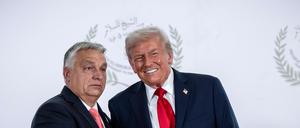 Trotz Sanktionen: Orban will von Trump grünes Licht für russisches Gas.