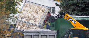 Die Ausbreitung der Geflügelpest bereitet auch dem Berliner Zoo und Tierpark sorgen.