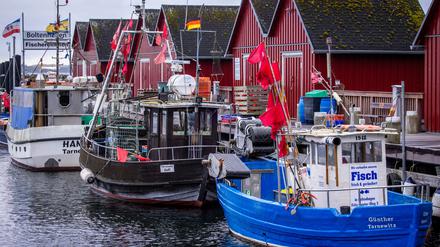 Trotz Sorgen um Dorsch und Hering: Für die deutschen Ostsee-Fischer bleibt fast alles beim Alten. (Symbolbild)