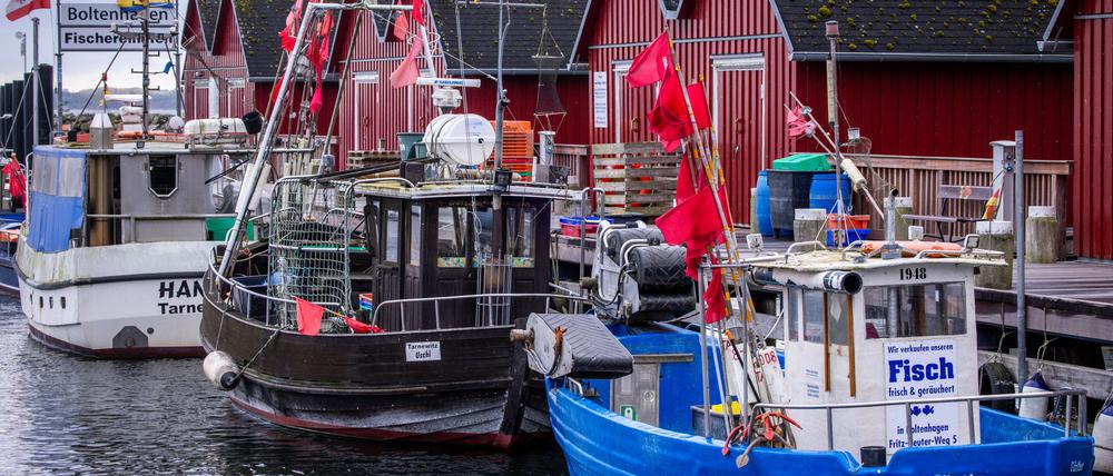 Trotz Sorgen um Dorsch und Hering: Für die deutschen Ostsee-Fischer bleibt fast alles beim Alten. (Symbolbild)