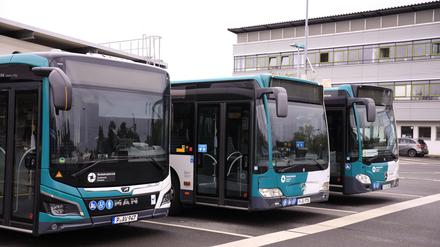 Busse in Potsdam. (Symbolbild)