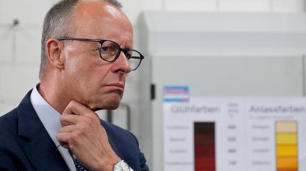 Kanzler Friedrich Merz.