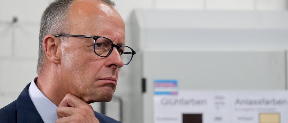 Kanzler Friedrich Merz.