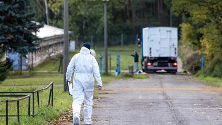 Wegen der Vogelgrippe wurden bereits Zehntausende Enten und Masthähnchen getötet. (Archivbild)  