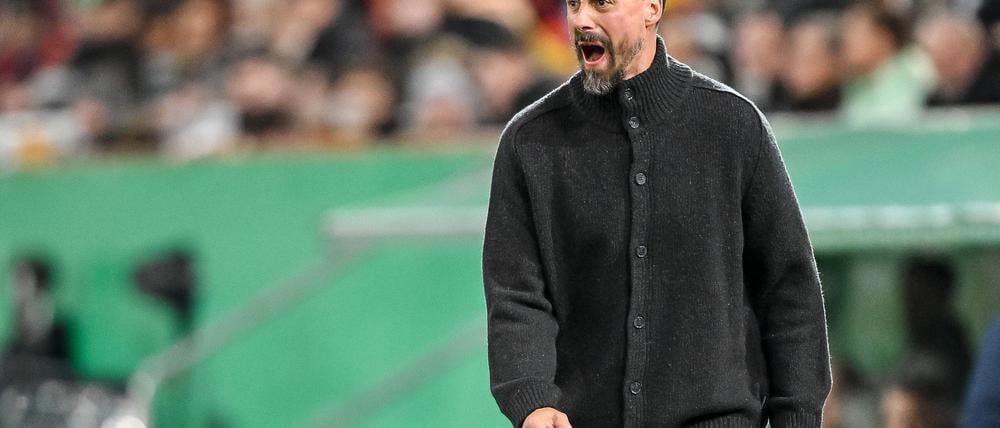 Der Frust muss raus: Sandro Wagner schreit am Spielfeldrand.