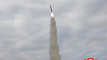 Kurz vor dem Trump-Besuch in Südkorea testet Nordkorea mehrere Marschflugkörper.