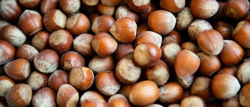 Die Haselsnussernte ist in Italien so schlecht ausgefallen wie seit Jahrzehnten nicht mehr. (Archivbild)