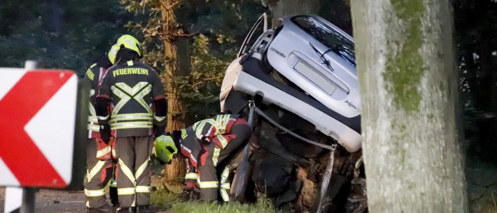 Tödlicher Baumunfall in Brandenburg. (Archivbild)