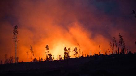 ARCHIV - 02.07.2025, Thüringen, Reichmannsdorf: Rauch steigt bei einem Brand in einem Waldstück der Saalfelder Höhe auf. 