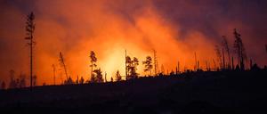ARCHIV - 02.07.2025, Thüringen, Reichmannsdorf: Rauch steigt bei einem Brand in einem Waldstück der Saalfelder Höhe auf. 