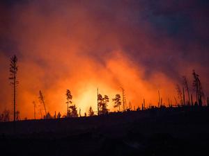 ARCHIV - 02.07.2025, Thüringen, Reichmannsdorf: Rauch steigt bei einem Brand in einem Waldstück der Saalfelder Höhe auf.
